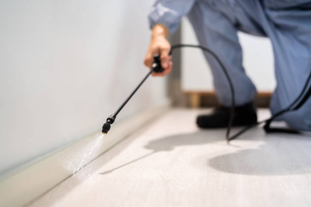 Bed Bug Pre-Treatment Preparation Assessment in Mayville