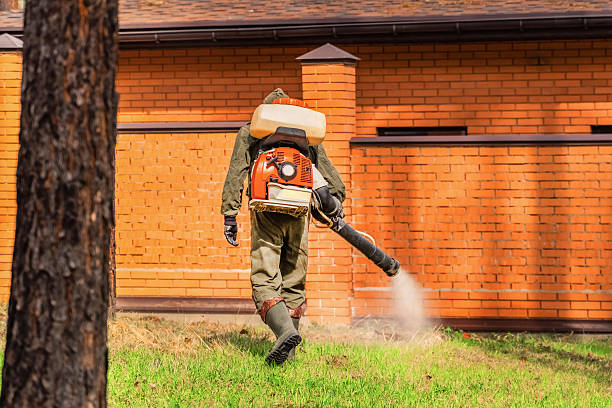 Bed Bug Clearance Verification and Documentation in Mayville
